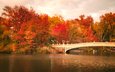 деревья, листья, люди, осень, лодка, зеркало, нью-йорк, соединённые штаты, центральный парк, bow bridge