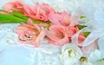 цветы, кольцо, кольца, свадьба, гладиолусы, букеты, gladioluses