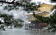 деревья, озеро, снег, храм, ветви, пагода, япония, киото, золотой павильон, кинкаку-дзи, кинкакудзи