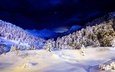 небо, ночь, деревья, горы, снег, зима, ели, синее