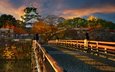 небо, деревья, мост, осень, водоем, пагода, япония, солнечно