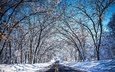 небо, дорога, деревья, снег, зима, туннель
