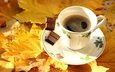 листья, осень, кофе, чашка, клен, шоколад, кленовый лист