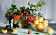 фрукты, шиповник, абрикос, ягоды, натюрморт, рябина, арония