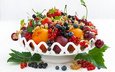 фрукты, клубника, абрикос, ягоды, вишня, черника, смородина, крыжовник, нектарин, слива