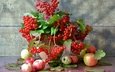 фрукты, яблоки, осень, ягоды, натюрморт, калина