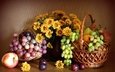 цветы, виноград, фрукты, яблоко, хризантемы, натюрморт, груша, слива
