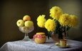 цветы, фрукты, яблоки, букет, чашка, ваза, чай, желтые, мед, хризантемы, натюрморт, баночка