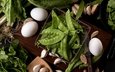 зелёный, яйца, горох, салат, чеснок, петрушка