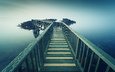 море, туман, мост