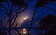 облака, ночь, деревья, озеро, отражение, луна