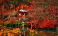 деревья, парк, листва, осень, водоем, пагода, япония, заросли