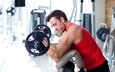 мужчина, мускулы, мышцы, бодибилдер, тренировки, тренажерный зал, strength, бицепс