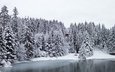 деревья, озеро, снег, лес, зима, швейцария, домик