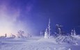 деревья, снег, зима, звездное небо, сугробы, финляндия, лапландия
