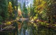 река, природа, лес, осень, йосемитский национальный парк, merced river