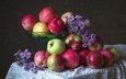 цветы, фрукты, яблоки, осень, плоды, астра, татарская