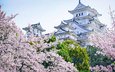 деревья, замок, пагода, япония, сад, сакура, замок химэдзи