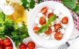 помидоры, салат, петрушка, базилик, моцарелла
