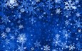 новый год, зима, снежинки, вектор, узор, краски, снежинка