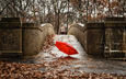 мост, город, осень, красный, зонтик