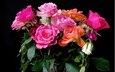 розы, букет, розовые, красивые, роз