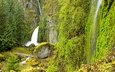 деревья, скалы, камни, зелень, мостик, ручей, водопад, тропинка, сша, мох, орегон, wahclella falls, columbia river