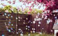 цветы, забор, весна, двор, мыльные пузыри