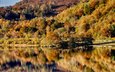 деревья, река, природа, отражение, кусты, осень