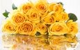 отражение, капли, розы, букет, желтые