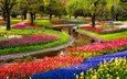 цветы, деревья, дизайн, парк, сад, весна, тюльпаны