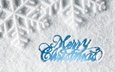снег, новый год, зима, снежинки, рождество, xmas, декорация, счастливого рождества, елочная, merry, белоцветник