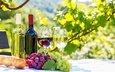 виноград, фрукты, вино, стекло, бутылка, вина, fruits, красное вино, белое вино, бутылек, cтекло