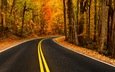 дорога, деревья, природа, листья, осень, асфальт, шоссе