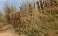 трава, песок, пляж, забор, ветер, дюны, песка, боке, изгородь, ветряная, дюна