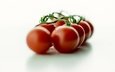 свежесть, красные, овощи, краcный, помидоры, боке, томаты, помидорами, помидоры черри, здоровое питание, овощной, черри, healthy food