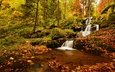 деревья, лес, листья, водопад, осень, франция, франци, нёвиллер-ла-рош, каскад де ла серва, neuviller-la-roche, vosges mountains