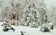деревья, снег, зима, парк, скамейки, деревь, изморозь