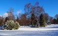 небо, деревья, снег, природа, зима, пейзаж, следы