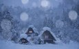 деревья, снег, лес, зима, домики, деревня, япония, японии, сиракава, shirakawa-go