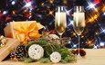 новый год, елка, бокалы, подарок, рождество, шампанское, декорация, встреча нового года, довольная