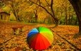 деревья, парк, дорожка, листва, осень, тропинка, зонт, скамья, зонтик, листопад, расцветка, деревь, опадают, осен,  листья