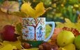листья, яблоки, осень, чашка, осен, каштаны,  листья