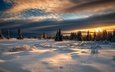 снег, лес, закат, зима, норвегия, норвегии, лиллехаммер