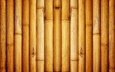 текстура, узор, стена, бамбук