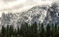 горы, лес, зима, сша, национальный парк йосемити, йосемитский национальный парк, штат калифорния, state california