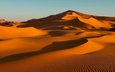 природа, песок, пустыня, бархан, сахара, алжир, дюна