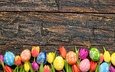 тюльпаны, пасха, праздник, дерева, тульпаны,  цветы, глазунья, весенние, зеленые пасхальные, довольная, красочная, яйца крашеные