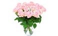 цветы, розы, букет, ваза, романтик,  цветы, розовые розы, роз, влюбленная, пинк