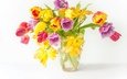 цветы, весна, букет, тюльпаны, дерева, красива, тульпаны,  цветы, яркая, парное, весенние, красочная
